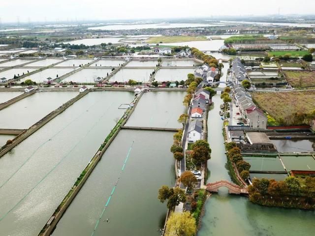 执委会周记|田野调查后写出来的产业目录接地气 | 调查