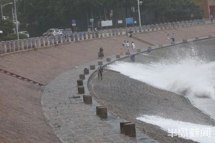 降水|青岛澳门路海边风大浪急，仍有人顶着大浪捞海冻菜