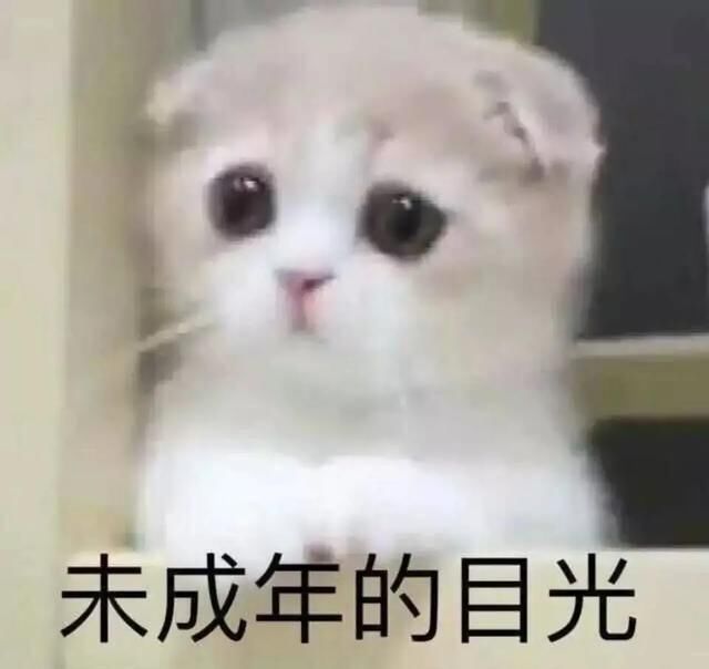  后怕|后怕！外出旅游不料家中马桶爆炸！律师却说维权不了