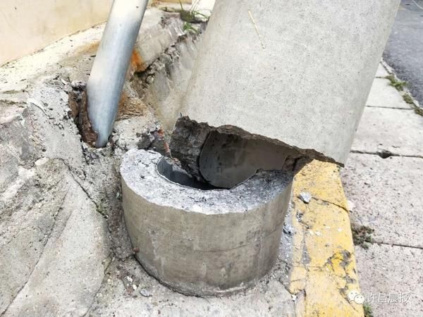  断落|祸从天降！直径30厘米的枝干突然断落，她奋力推开两名幼童