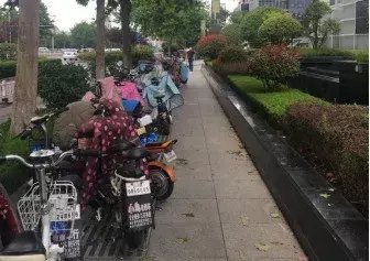 海安路瑞竹|看着都让人脸红！不文明“随手拍”第一期曝光！