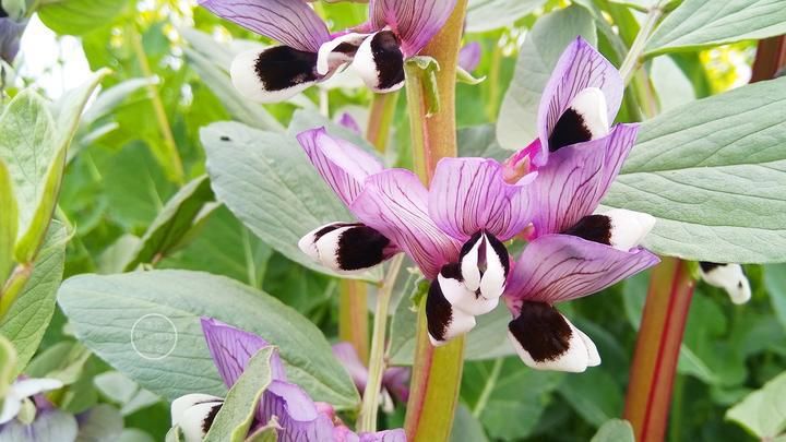 人品|做人是做事的根本，而做事能展示出人品