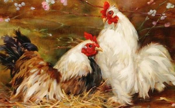 1969年属鸡的人,命里一定要找到你的贵人,