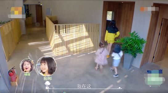  豪宅|郑爽新综艺被气哭？当看到综艺里的森林豪宅，我羡慕哭