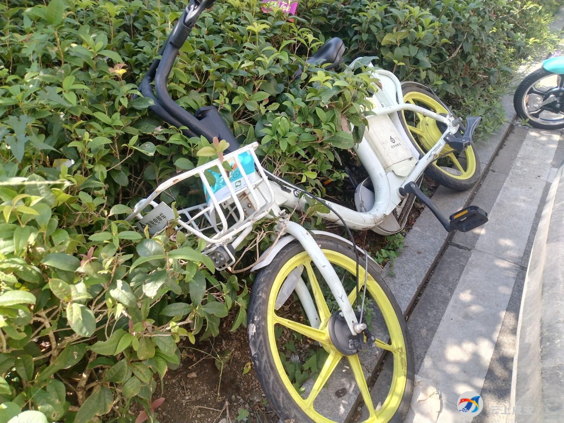 市民|共享单车很便民 使用也要讲文明