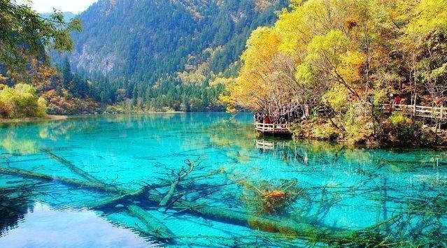  旅游|人间仙境的九寨沟美仑美奂，它的“另一面，”你又知道多少