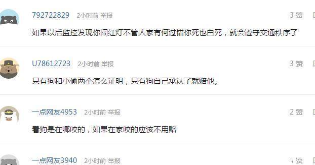  倒霉|小偷偷东西被狗咬, 住院花掉3万块, 谁来赔偿 狗主人要倒霉了!