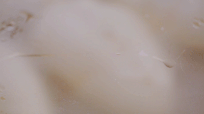  面粉|皮薄馅厚，内在鲜美的柳叶素菜包，热腾腾的来上一笼可好？