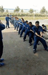 GIF|搞笑GIF:这家店藏这么深