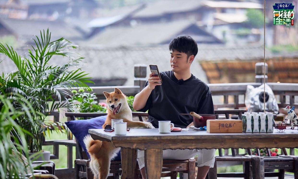  陈赫|《向往的生活》第四季收官，宋丹丹母子和陈赫返场！