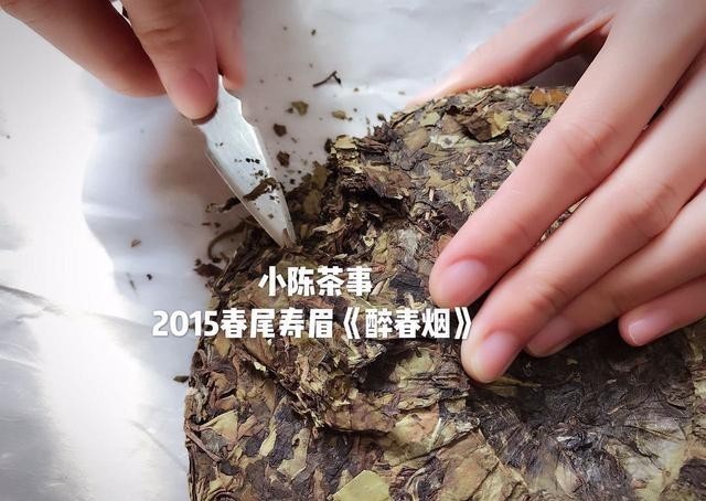 别一|白茶饼一撬就碎的秘密,你知道几个?别一撬碎就怪品质不好