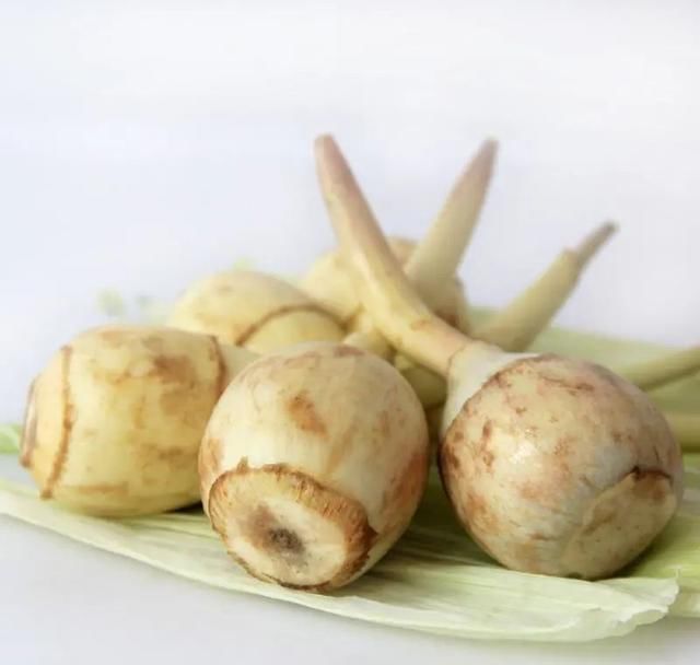 别称|同一物,天南地北的叫法竟差这么多