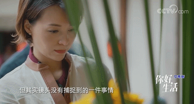  生活|这档被埋没的神仙综艺，值一个热搜！董卿插花比主持更美