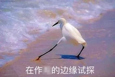 业行政执法|直播偷钓口出狂言：“我在滇池横着走，滇管局来也不怕！”滇管局真的就来了