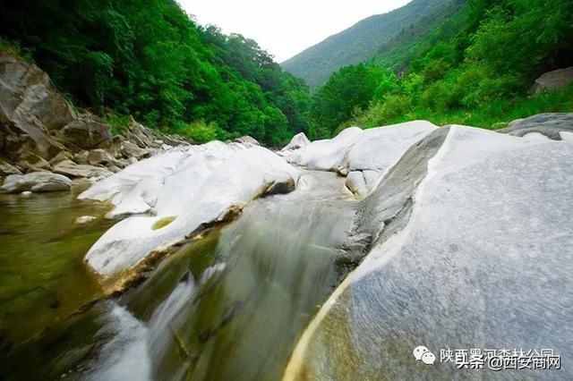 承包|不用出省游！陕西黑河森林公园，承包你的夏天