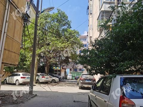 改造|为了等拆迁不同意改造 我们小区就这样成了被城市遗忘的角落