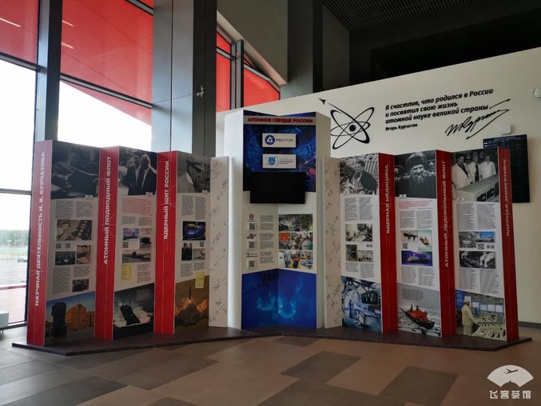 好看|拔草俄航95周年彩绘机！外观和机舱超好看，难怪有近9成上座率