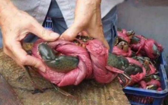 大叔|大叔挑扁担卖“绳子蟹”,10元一只,我买了5只,掰开后却后悔了