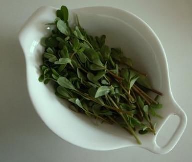 冷冻|9月,遇见这菜就买,一次多买一点,做好放冰箱冷冻,吃着方便