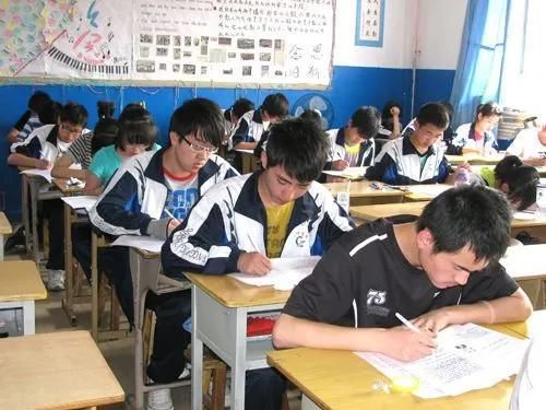  高考作文|满分作文《生活在树上》：高考作文不是自媒体文章，不需要人人看懂