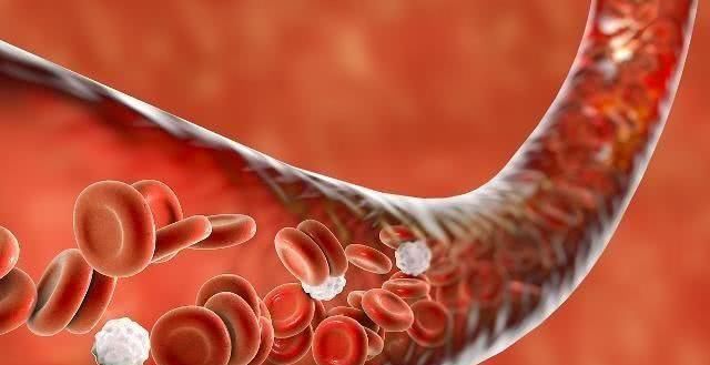  血脂|血脂高百病生，日常多吃这6种食物，血脂慢慢恢复正常值！