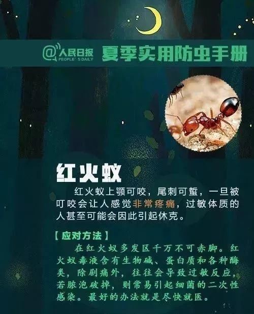  身上|当心！身上冒出这种“小黑点”别乱拔，已有多人送医！正处高发季