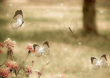 心乱如麻|静态赏花是安静的回归