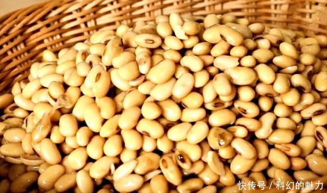 切成|做黄豆酱时,只懂加盐那就错了!一直坚持这一步,放三个月都不坏