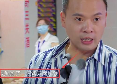  大厨|中餐厅厨师地位差距大？张亮买鱼养着玩，林大厨买5元的菜被询问