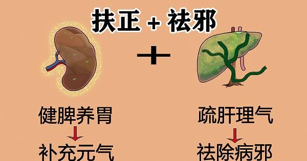 中医|大白话说中医第六十七期|同病异病看整体，健脾养胃生元气