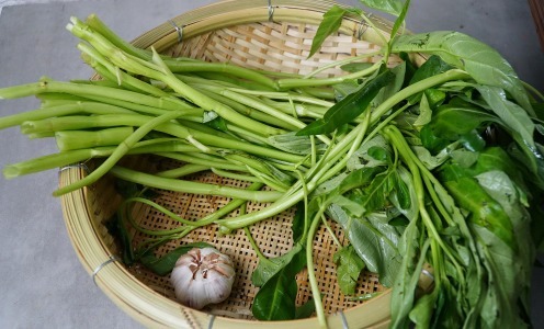 流失|空心菜直接炒就错了，发黑不脆，多加一步，营养不流失，翠绿爽脆