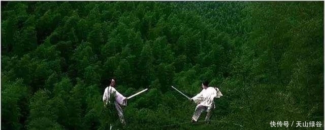  慈禧|慈禧的贴身保镖, 清朝的大内高手, 连子弹都不怕, 数次救下张作霖