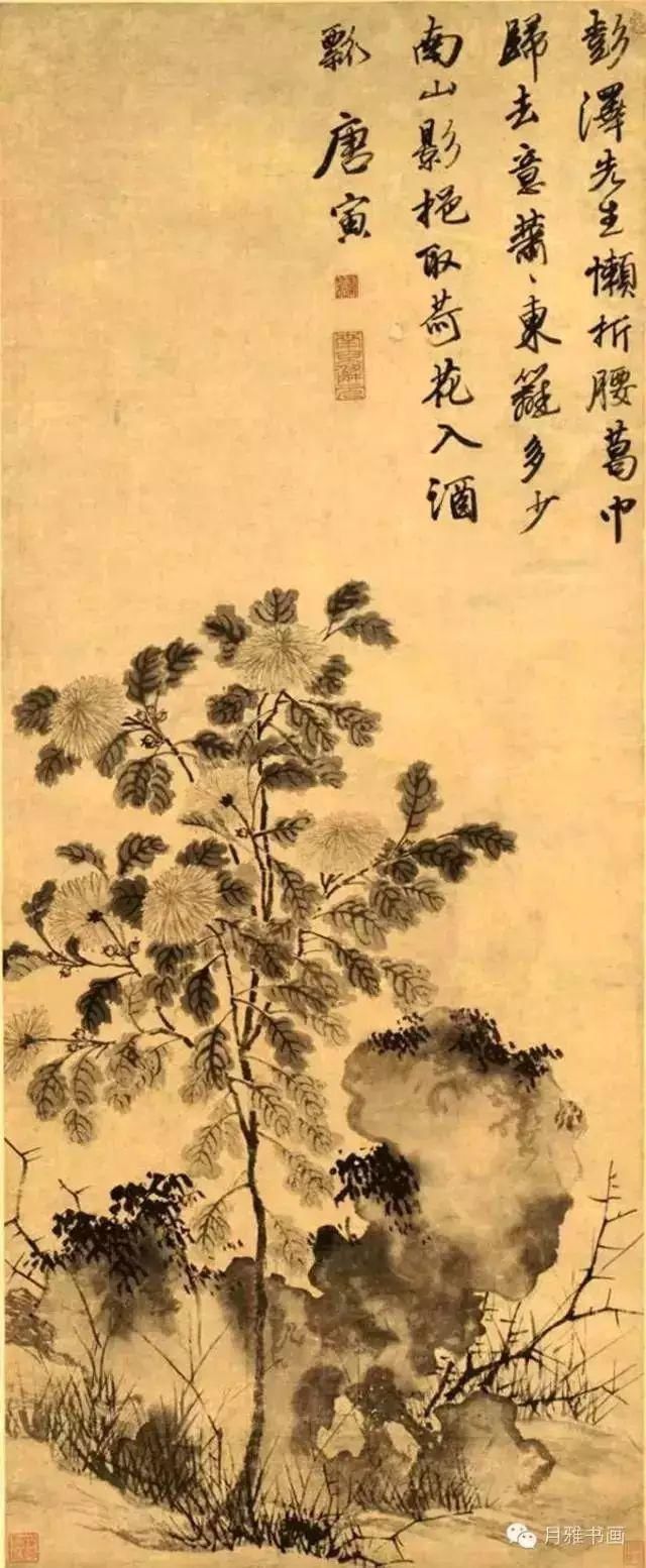  名家|秋菊佳色！——历代名家画菊