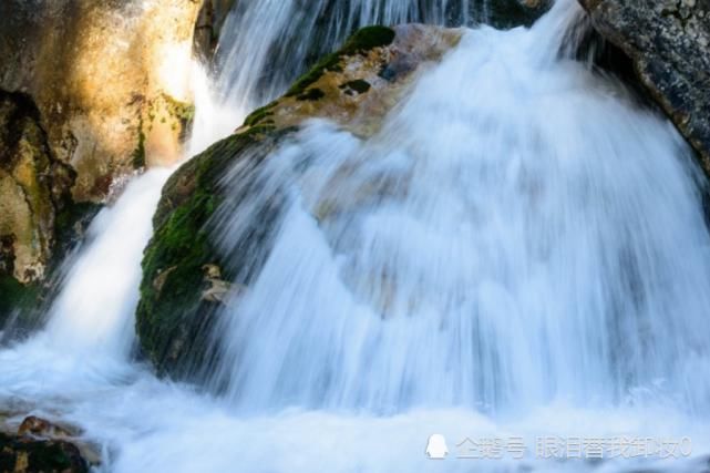  横财|八月开始，横财不断，贵人提携，富贵一整年的生肖
