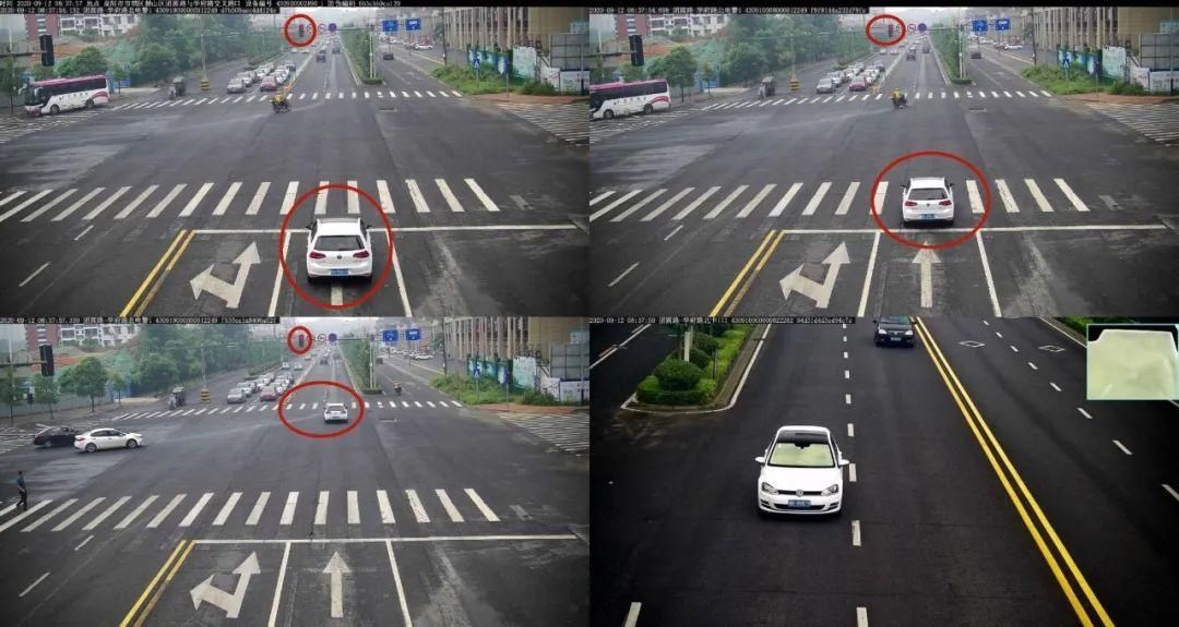 驾驶机动车违反道路|闯红灯、斑马线前不礼让行人，看看都有谁？