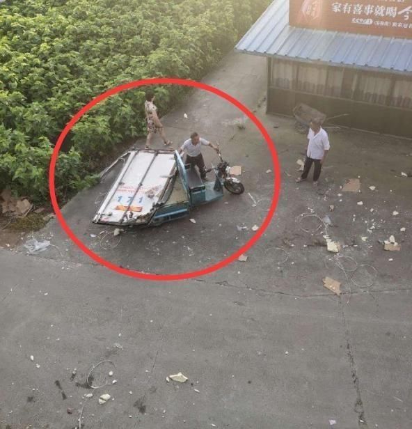  猪肉|货车遭遇事故，7吨猪肉遭附近村民哄抢，尽显人间险恶！车主无奈