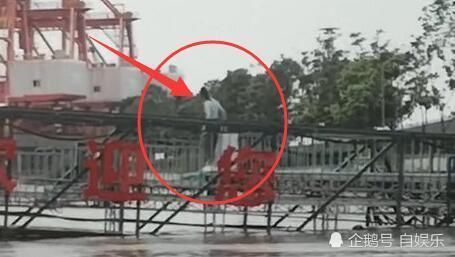  超越|杨超越到《中餐厅》当嘉宾，看清上船方式，和赵丽颖待遇差太多