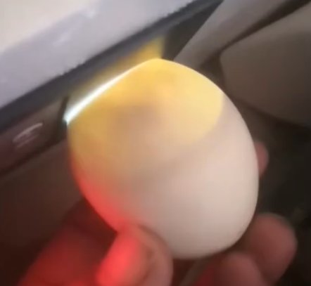  孵出来|男子网购“孔雀蛋”，结果孵出了鸭子！网友：商家没想到真能孵出来