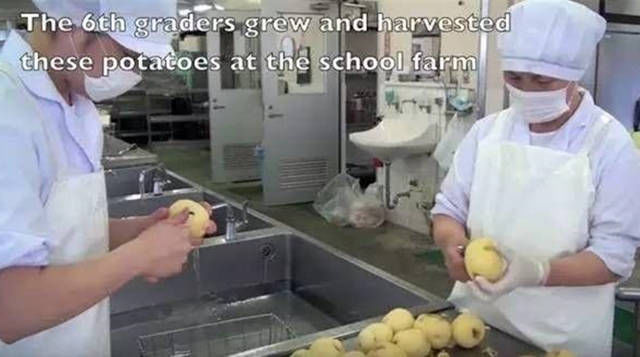 健康|为什么日本儿童的健康状态全球第一？组图揭秘全过程，值得深思