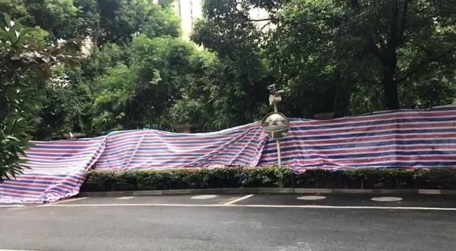 杭州|复盘杭州杀妻案始末：一个二婚重组家庭“最隐秘的角落”