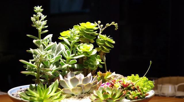  创新|私厦里寿宴，传统与创新一席可见