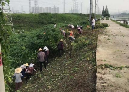 升级|升级预警!防汛,栖霞在行动!