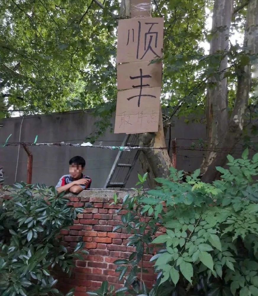 这届|封闭式管理下的大学生！?这届的大学生真是太惨了…