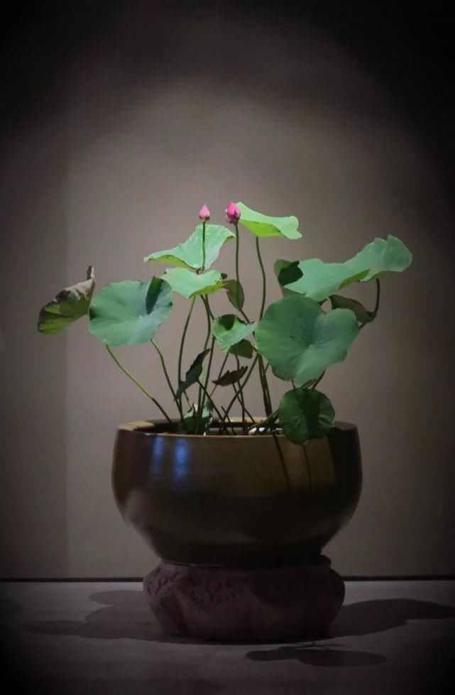  书房|家的气质，在书房