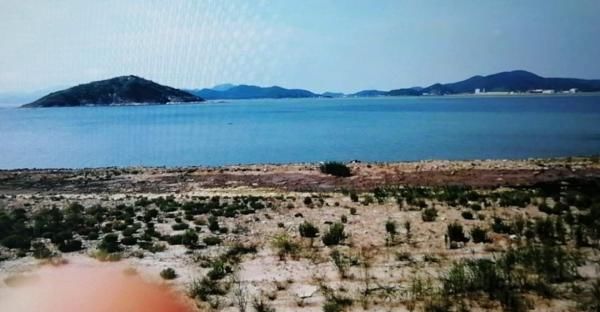  身亡|浙江2名男子海边拾贝类时身亡，原因太意外......