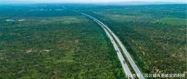 绿洲|中国一沙漠就快成为绿洲，却来了一群“祸害”，网友：全毁了！