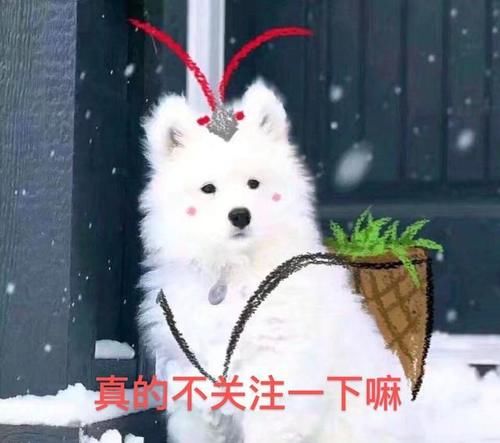  萧山|R1SE家境揭秘，萧山阔少何洛洛，茶庄少主焉栩嘉，而他最富有