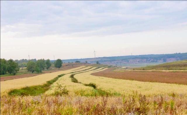 东线|草原天路（四）——东线