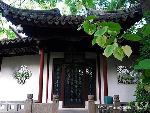 拙政园|买了拙政园的票就不用去狮子林啦？你错了