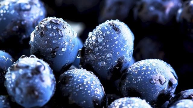  没吃到|狐狸没吃到的那颗葡萄，串起了几个世纪的夏天